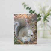 eekhoorn briefkaart (Staand voorkant)