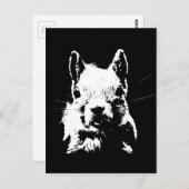 eekhoorn briefkaart (Voorkant / Achterkant)