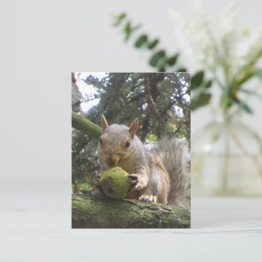 eekhoorn briefkaart (Staand voorkant)