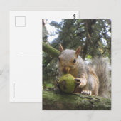 eekhoorn briefkaart (Voorkant / Achterkant)