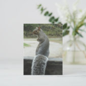 eekhoorn briefkaart (Staand voorkant)