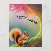 eekhoorn briefkaart (Voorkant)