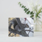 Eekhoorn/Briefkaart cichorei Briefkaart (Staand voorkant)