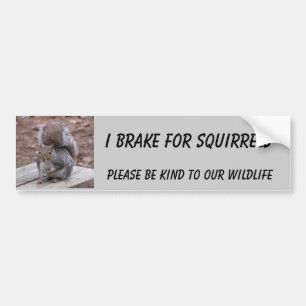 eekhoorn bumper sticker met "Summer"