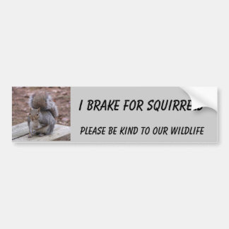 eekhoorn bumper sticker met "Summer"