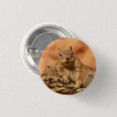 Eekhoorn - Button (Voorkant /achterkant)