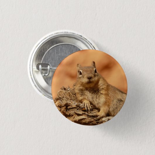 Eekhoorn - Button (Voorkant /achterkant)