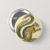 eekhoorn Button (Voorkant /achterkant)