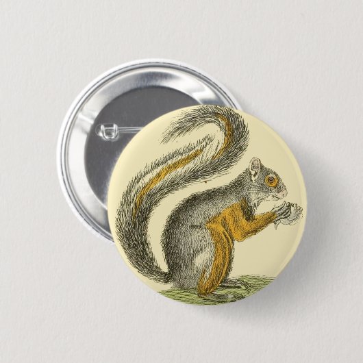  eekhoorn Button (Voorkant /achterkant)