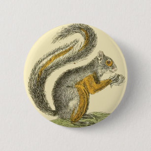 eekhoorn Button