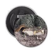 eekhoorn button flesopener (Voorkant)