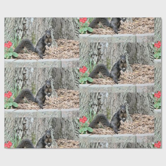 eekhoorn cadeaupapier (Vlak)