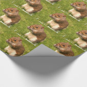 eekhoorn cadeaupapier (Hoek)