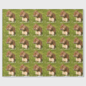 eekhoorn cadeaupapier (Vlak)