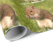 eekhoorn cadeaupapier (Rol Hoek)