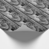 Eekhoorn Cadeaupapier (Hoek)