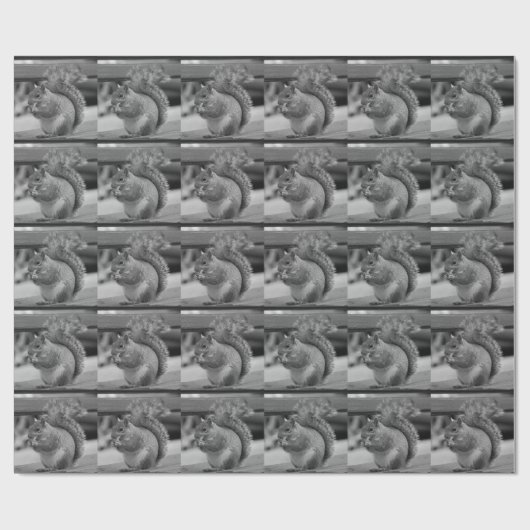 Eekhoorn Cadeaupapier (Vlak)