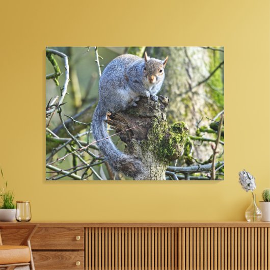 eekhoorn canvas afdruk (Insitu (Woonkamer))