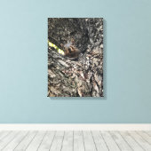 eekhoorn canvas afdruk (Insitu (Houten vloer))