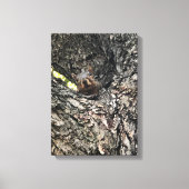 eekhoorn canvas afdruk (Voorkant)