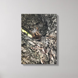 eekhoorn canvas afdruk