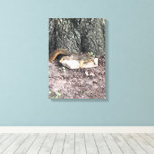 eekhoorn canvas afdruk (Insitu (Houten vloer))