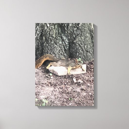 eekhoorn canvas afdruk (Voorkant)