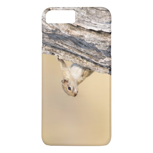 Eekhoorn Case-Mate iPhone Case (Achterkant)