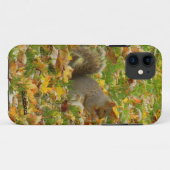 eekhoorn Case-Mate iPhone case (Achterkant (horizontaal))