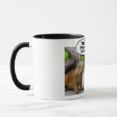 eekhoorn dacht dat er iets was mok (Links)