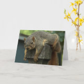 eekhoorn dagmiddag kaart (Gele Bloem)