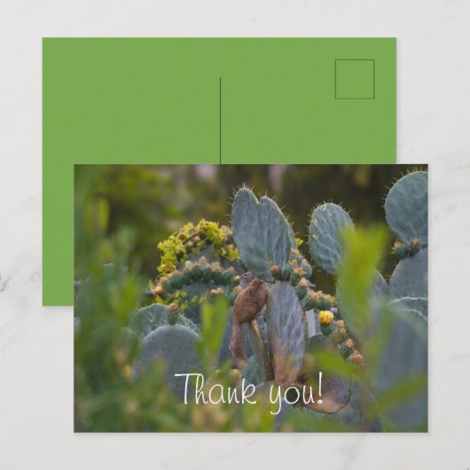 Eekhoorn dank je kaart (Voorkant / Achterkant)