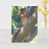 Eekhoorn, denken aan jou kaart (Gele Bloem)