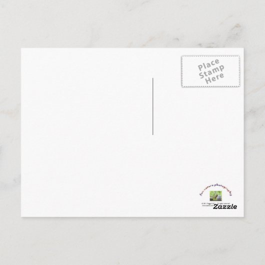 Eekhoorn die de BinnenDoos van het Hart, de Briefkaart (Achterkant)