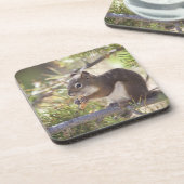 Eekhoorn die een dennenkegel 2 eet drankjes onderzetter (Linkerzijde)
