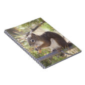 Eekhoorn die een dennenkegel 2 eet notitieboek (Rechterzijde)