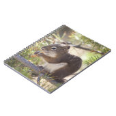 Eekhoorn die een dennenkegel 2 eet notitieboek (Linkerzijde)