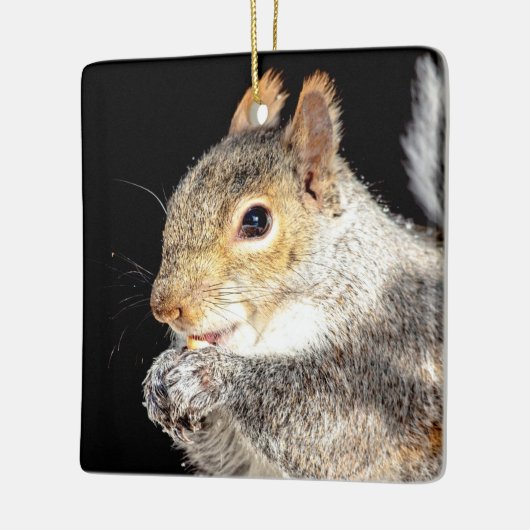 Eekhoorn die een noot eet keramisch ornament (Links)