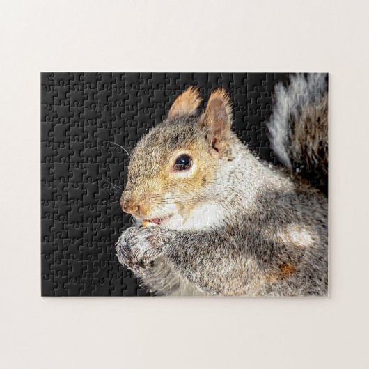 Eekhoorn die een noot eet legpuzzel (Horizontaal)