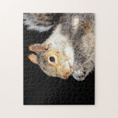 Eekhoorn die een noot eet legpuzzel (Verticaal)