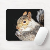 Eekhoorn die een noot eet muismat (Met muis)