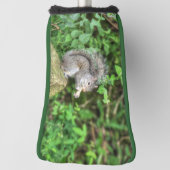 Eekhoorn die een pinda eet golfheadcover (Draai 90)