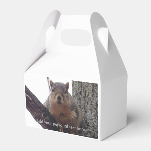 Eekhoorn die je cadeaudoos bekijkt bedankdoosjes (Voorkant Zijde)