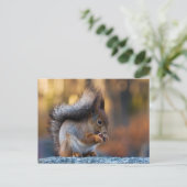 Eekhoorn die koekjes eet briefkaart (Staand voorkant)