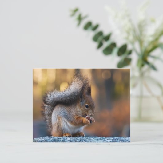 Eekhoorn die koekjes eet briefkaart (Staand voorkant)