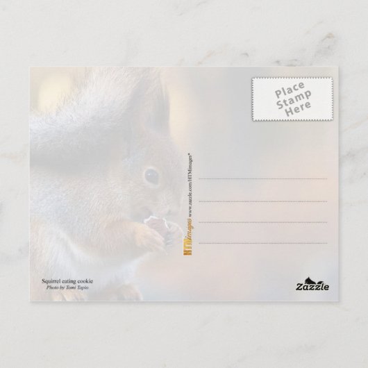 Eekhoorn die koekjes eet briefkaart (Achterkant)