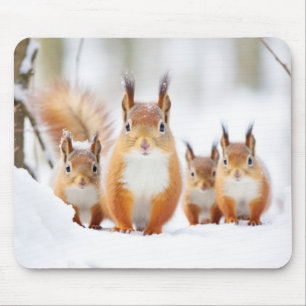 Eekhoorn Dierenfamilie Wandering Natuur Muismat