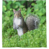 eekhoorn douchegordijn (Voorkant)