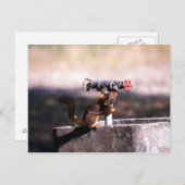 Eekhoorn drink briefkaart (Voorkant / Achterkant)