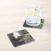 Eekhoorn Drink Onderschepper Kartonnen Onderzetters (Insitu)